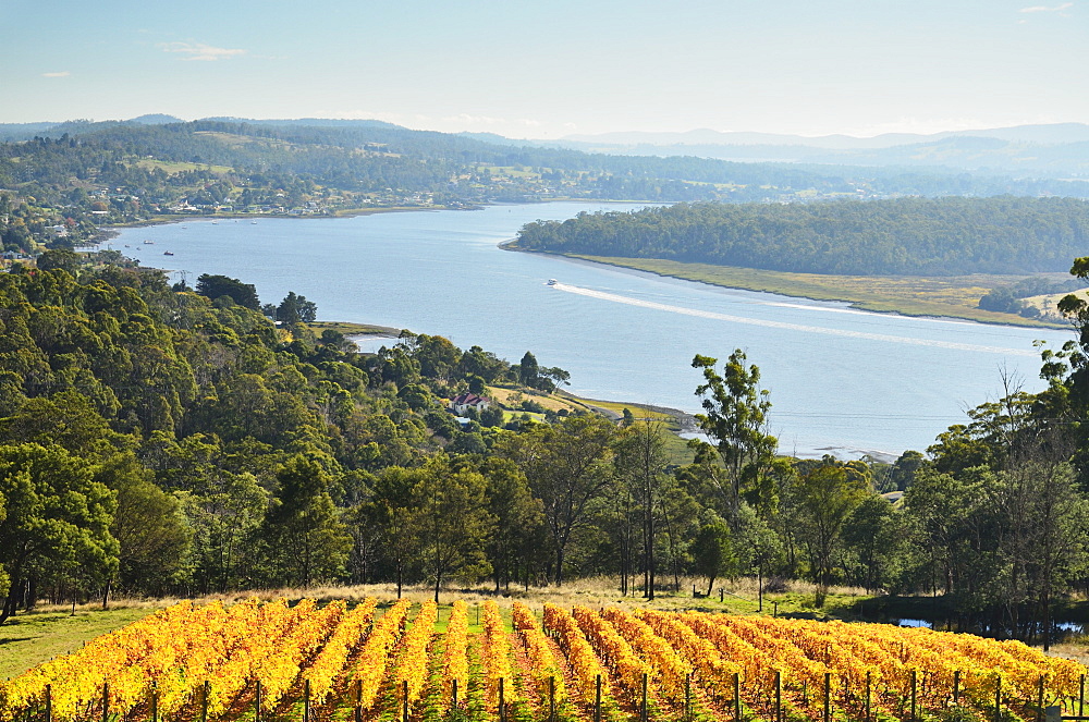 River Tamar, Tamar Valley, Tasmania, Australia, Pacific