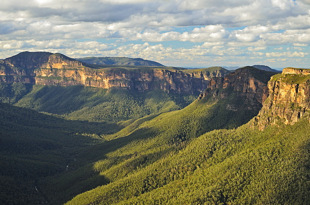 View of Grose Valley, Blue Mountains, Blue Mountains National Park, UNESCO World Heritage Site, New South Wales, Australia, Pacific