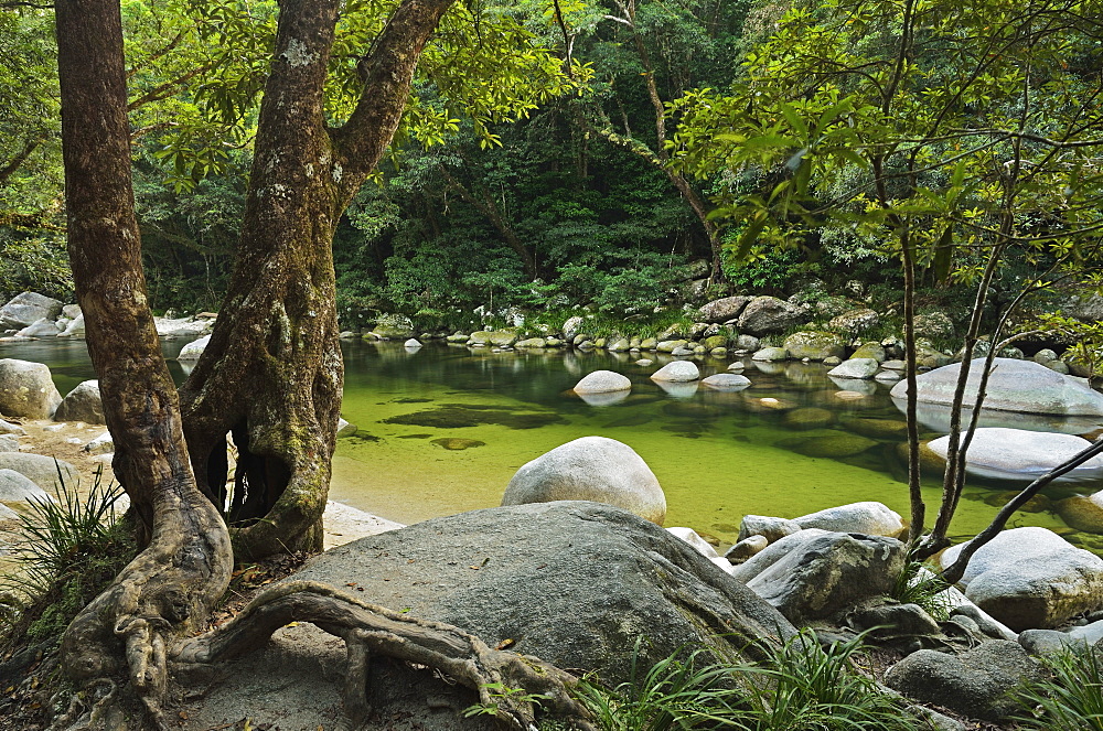 Mossman Gorge, Daintree National Park, UNESCO World Heritage Site, Queensland, Australia, Pacific