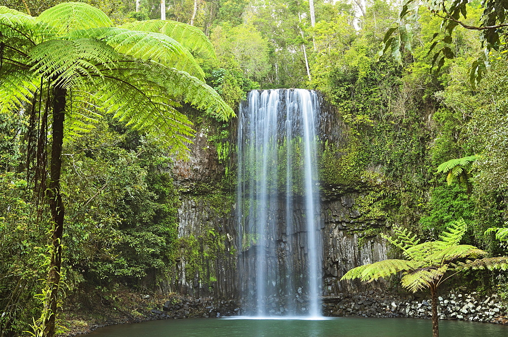 Millaa Millaa Falls, Atherton Tableland, Queensland, Australia, Pacific