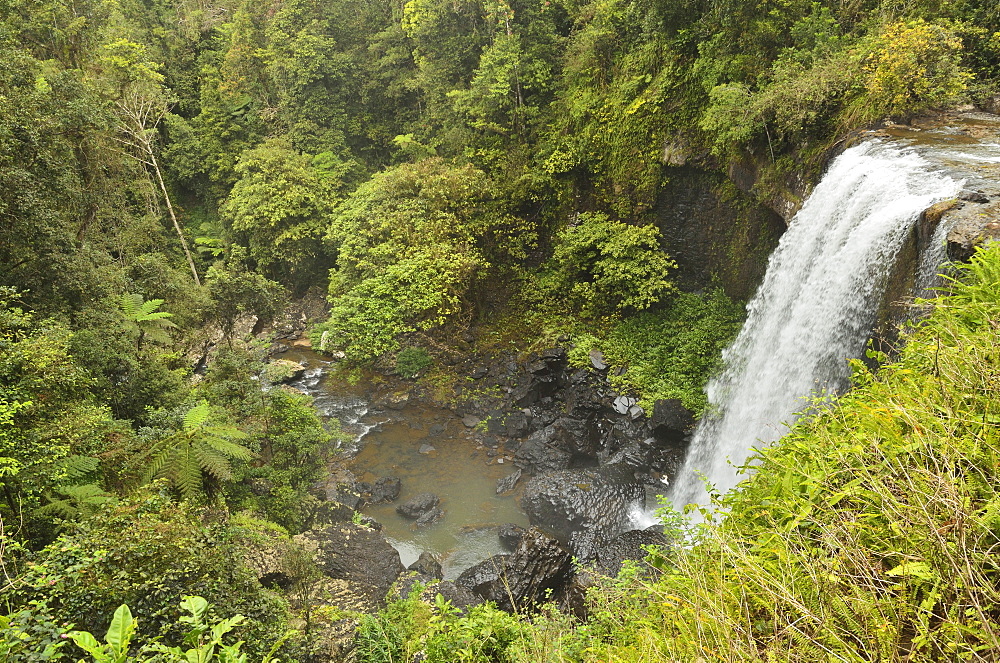 Zillie Falls, Atherton Tableland, Queensland, Australia, Pacific