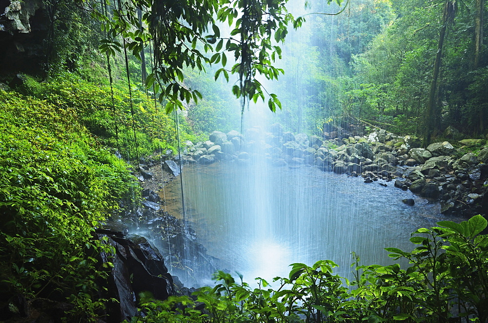 Crystal Shower Falls, Dorrigo National Park, New South Wales, Australia, Pacific