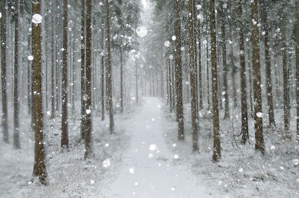 Winter landscape, near Villingen-Schwenningen, Black Forest, Baden-Wurttemberg, Germany, Europe