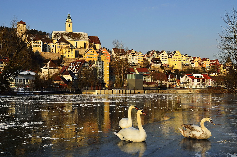 Old town of Horb and the frozen River Neckar, Neckartal (Neckar Valley), Baden-Wurttemberg, Germany, Europe