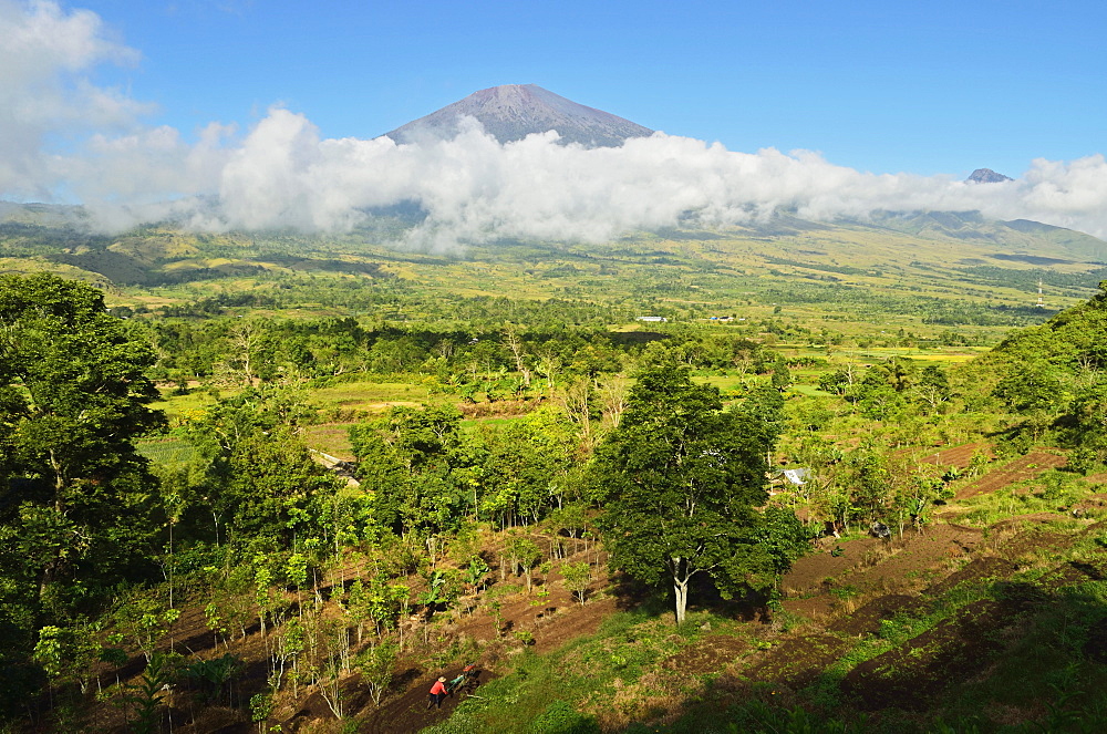 View of  Mount Rinjani from Sembalun Lawang, Lombok, Indonesia, Southeast Asia, Asia