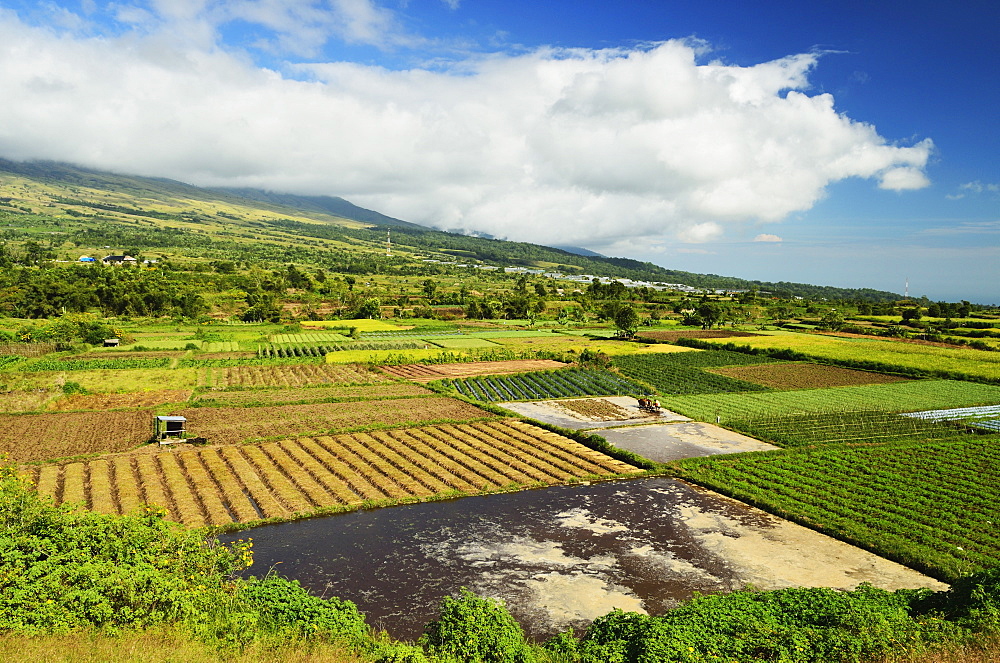 Rural landscape, near Sembalun Lawang, Lombok, Indonesia, Southeast Asia, Asia