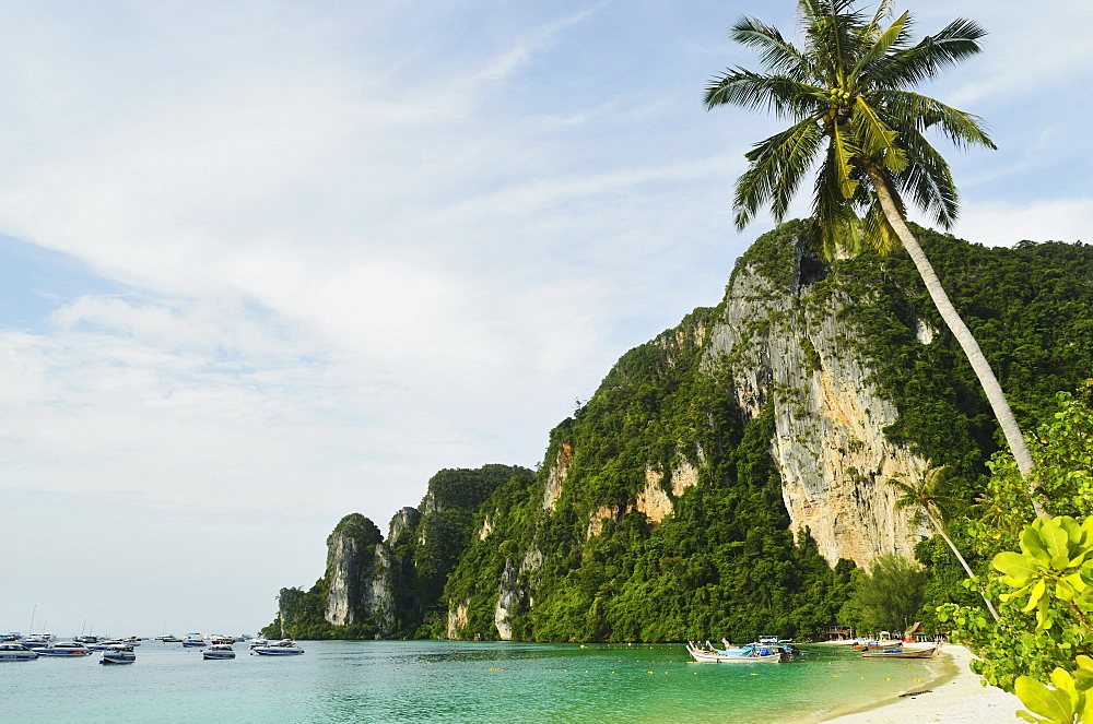 Ton Sai Bay, Ko Phi Phi, Krabi Province, Thailand, Southeast Asia, Asia