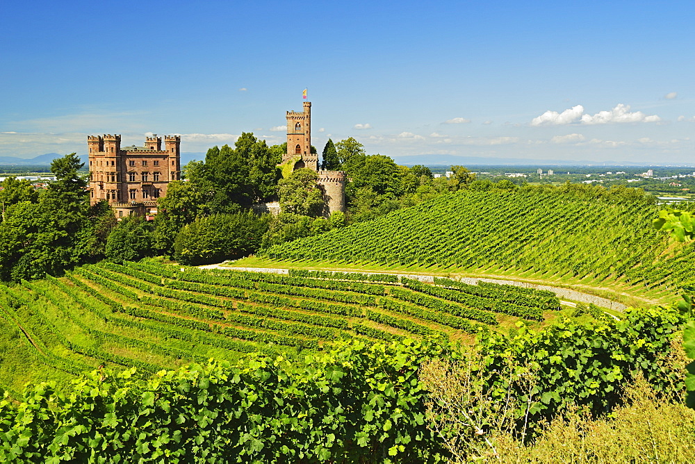 Ortenberg Castle, Ortenberg, Ortenau, Baden-Wurttemberg, Germany, Europe