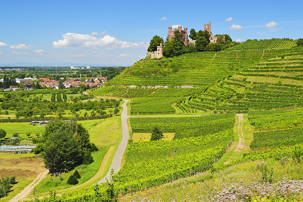 Ortenberg Castle, Ortenberg, Ortenau, Baden-Wurttemberg, Germany, Europe