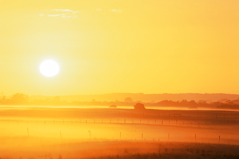 Sun and fields, Robe, South Australia, Australia, Pacific