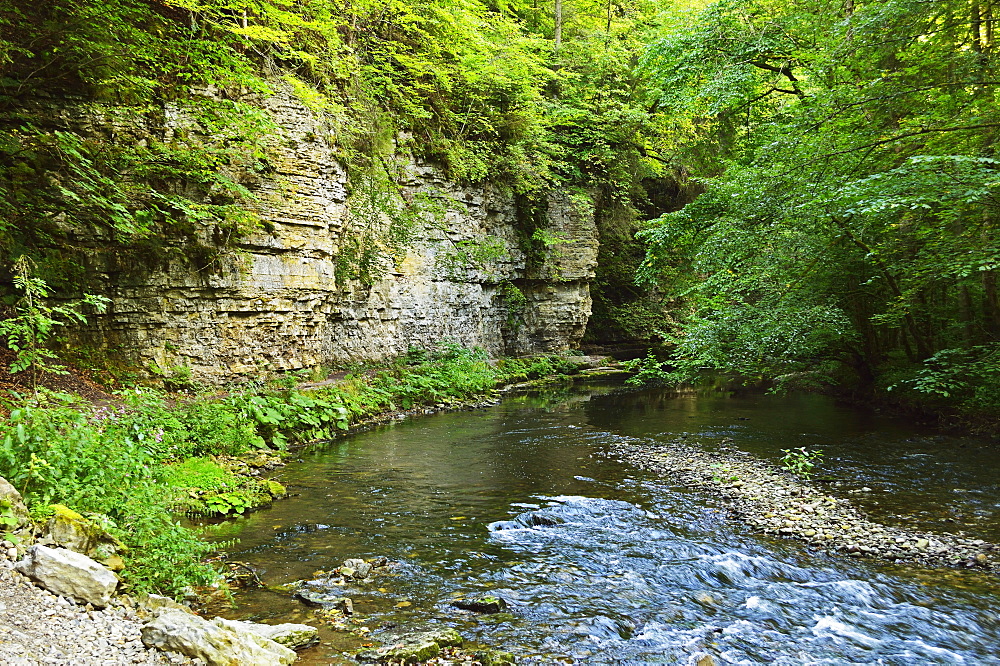 Wutach Gorge and Wutach River, Black Forest, Baden-Wurttemberg, Germany, Europe