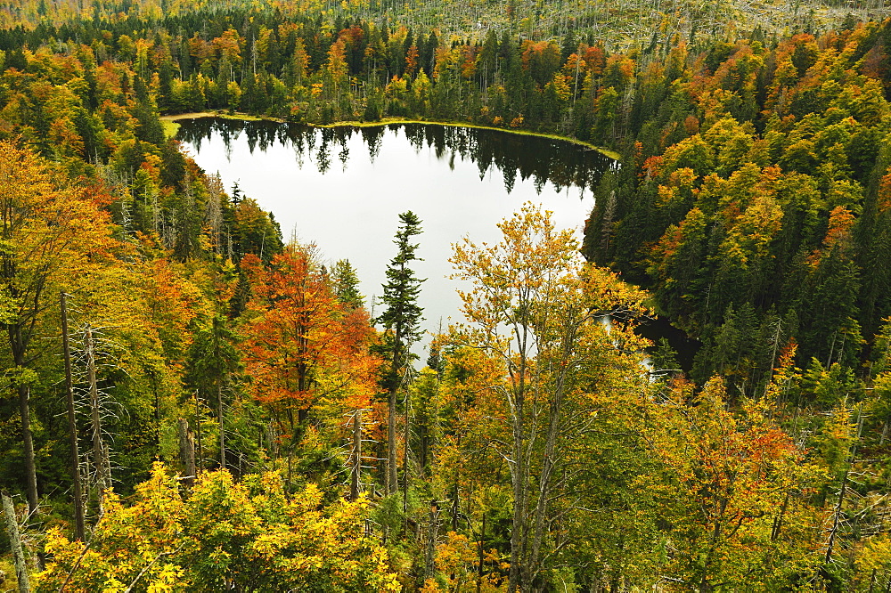 Rachelsee (Rachel Lake), Grosser Rachel, Bavarian Forest National Park, Bavarian Forest, Bavaria, Germany, Europe