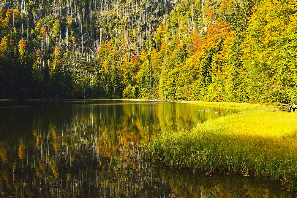 Rachelsee (Rachel Lake), Grosser Rachel, Bavarian Forest National Park, Bavarian Forest, Bavaria, Germany, Europe