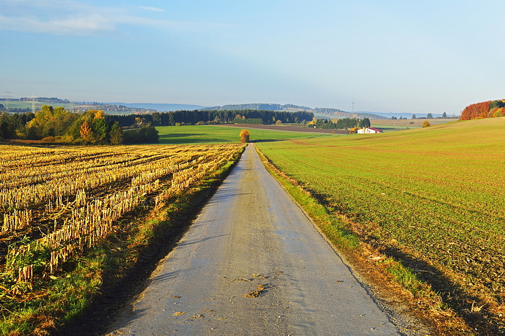 Country road, near Villingen-Schwenningen, Black Forest, Schwarzwald-Baar, Baden-Wurttemberg, Germany, Europe