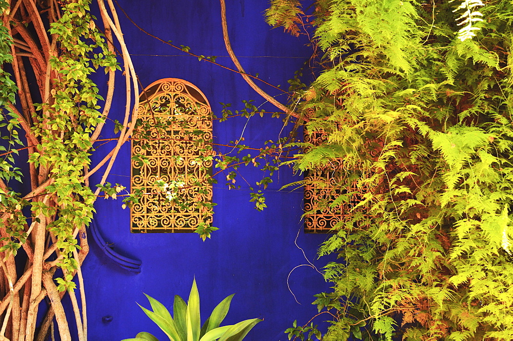 The Majorelle Gardens, Marrakesh, Morocco, North Africa, Africa