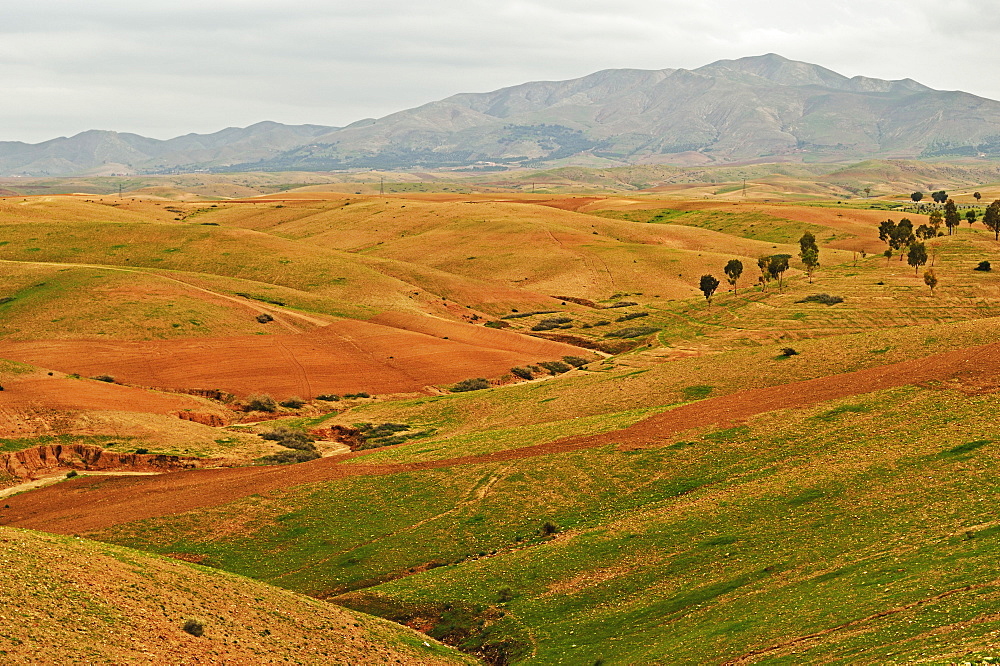 Traditional Berber country near Ait Khaled, High Atlas, Morocco, North Africa, Africa