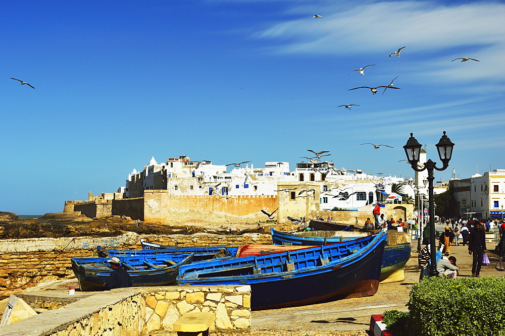 Essaouira, Atlantic Coast, Morocco, North Africa, Africa