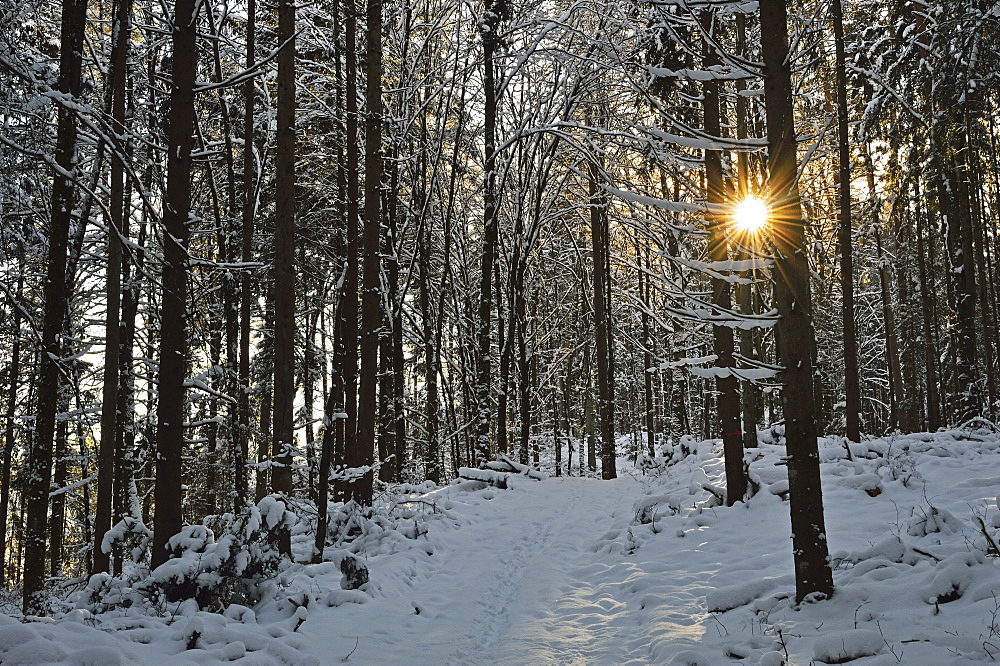 Rural winter scene, near Villingen-Schwenningen, Schwarzwald-Baar, Baden-Wurttemberg, Germany, Europe