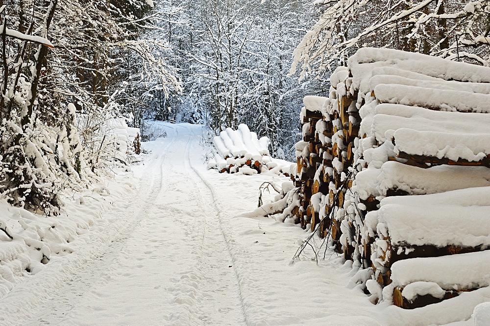 Black Forest in winter, near Villingen-Schwenningen, Schwarzwald-Baar, Baden-Wurttemberg, Germany, Europe