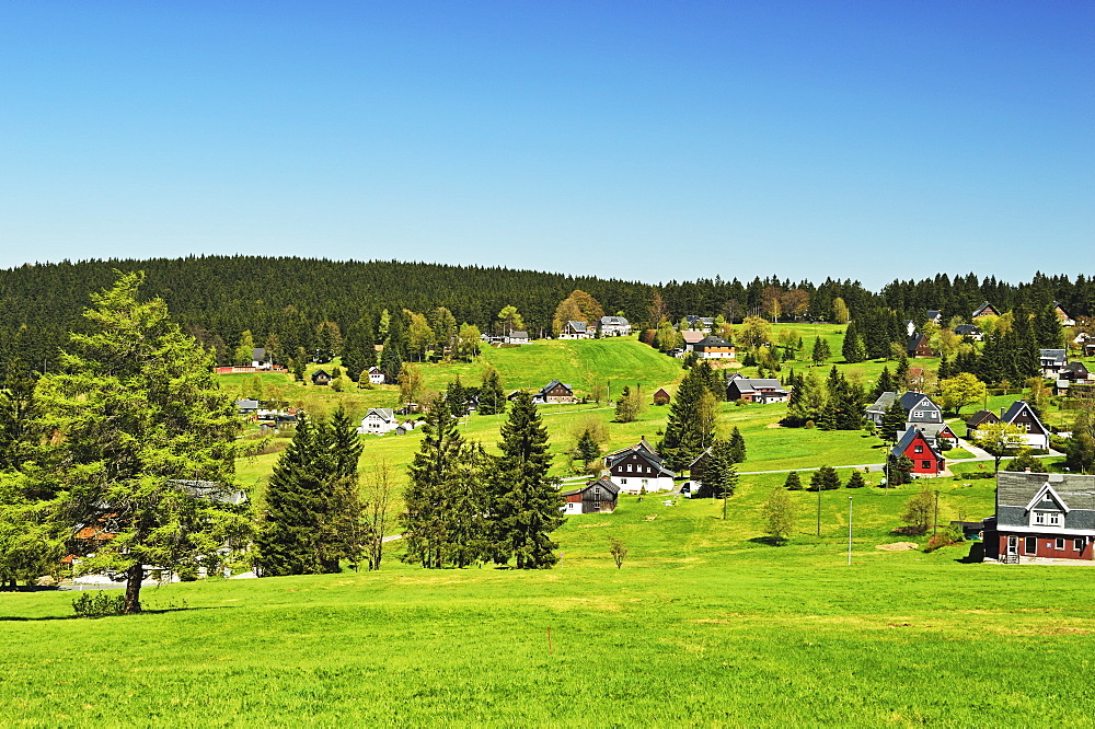 Pasture and forest, Erzgebirge, Saxony, Germany, Europe 