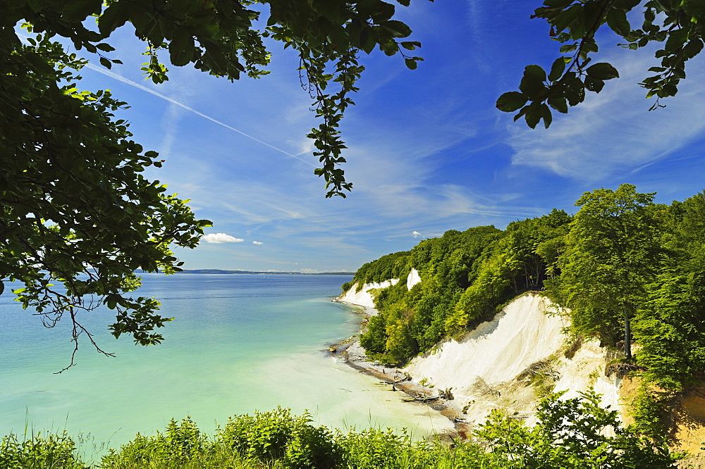 Chalk cliffs, Jasmund National Park, Ruegen Island, Mecklenburg-Vorpommern, Germany, Europe