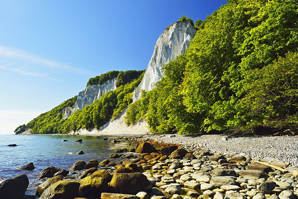 Koenigsstuhl, chalk cliffs, Jasmund National Park, Ruegen Islan (Rugen Island), Mecklenburg-Vorpommern, Germany, Baltic Sea, Europe 