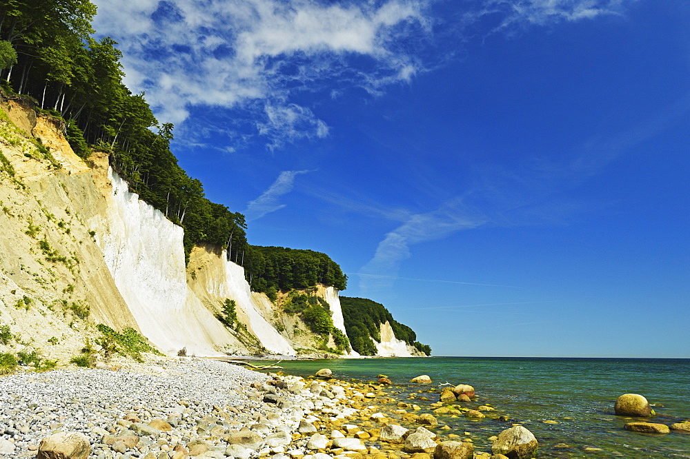 Chalk cliffs, Jasmund National Park, Ruegen Island (Rugen Island), Mecklenburg-Vorpommern, Germany, Baltic Sea, Europe 