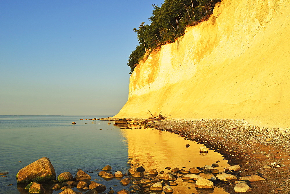 Sunrise at the chalk cliffs, Jasmund National Park, Ruegen Island (Rugen Island), Mecklenburg-Vorpommern, Germany, Baltic Sea, Europe 