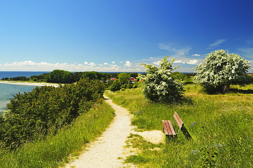 Rural scene near Thiessow, Moenchgut, Ruegen Island (Rugen Island), Mecklenburg-Vorpommern, Germany, Baltic Sea, Europe 