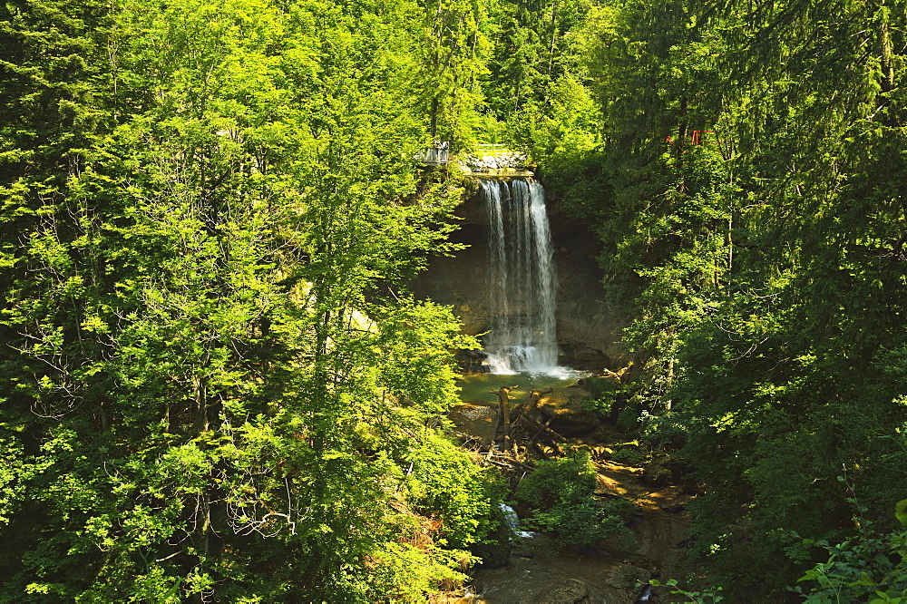 Scheidegg Waterfalls Nature Park, Scheidegg, Bavaria, Germany, Europe 