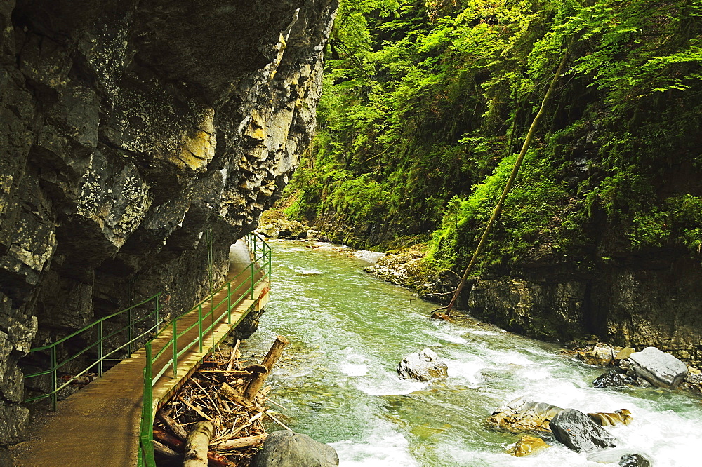 Breitachklamm Gorge, Allgau, Bavaria, Germany, Europe 