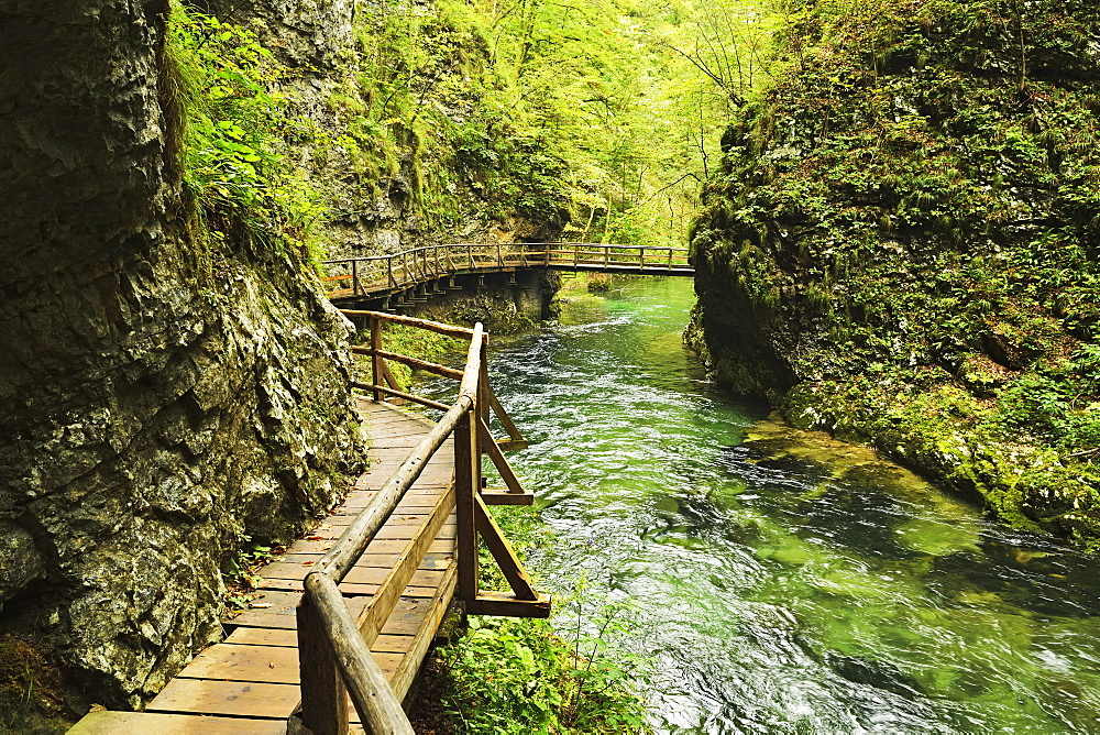 Radovna River, Vintgar Gorge, Gorje, Bled, Slovenia, Europe