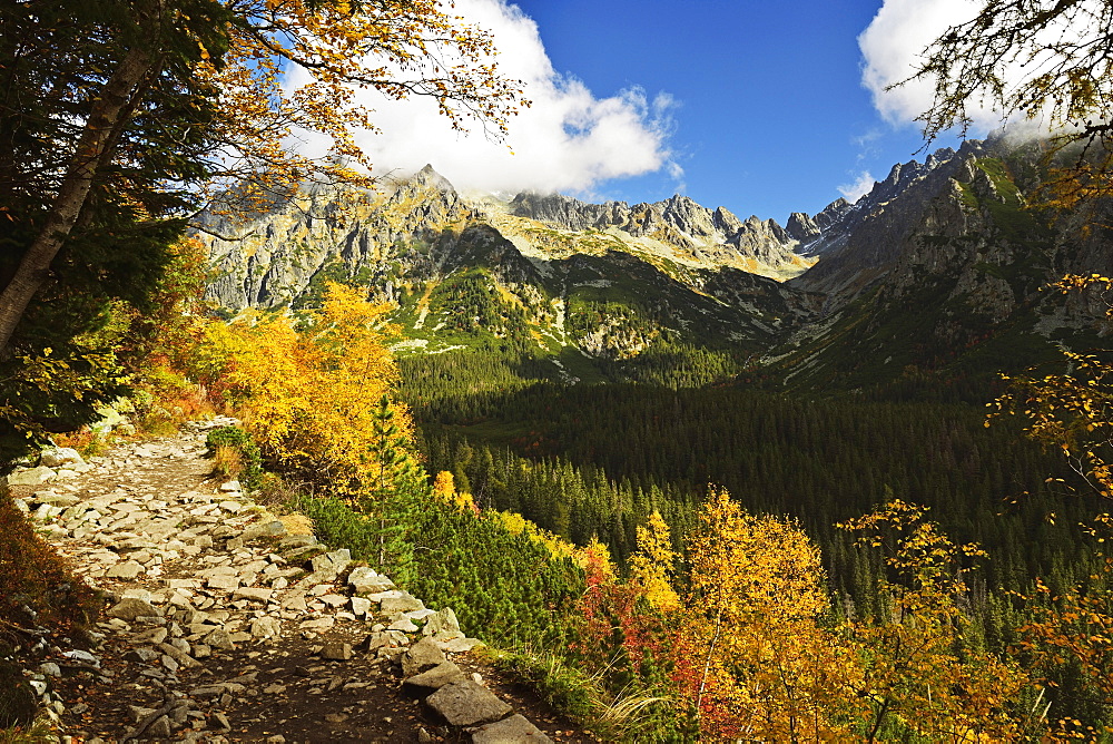 Footpath in the Strbske Pleso area, High Tatras (Vysoke Tatry), Slovakia, Europe