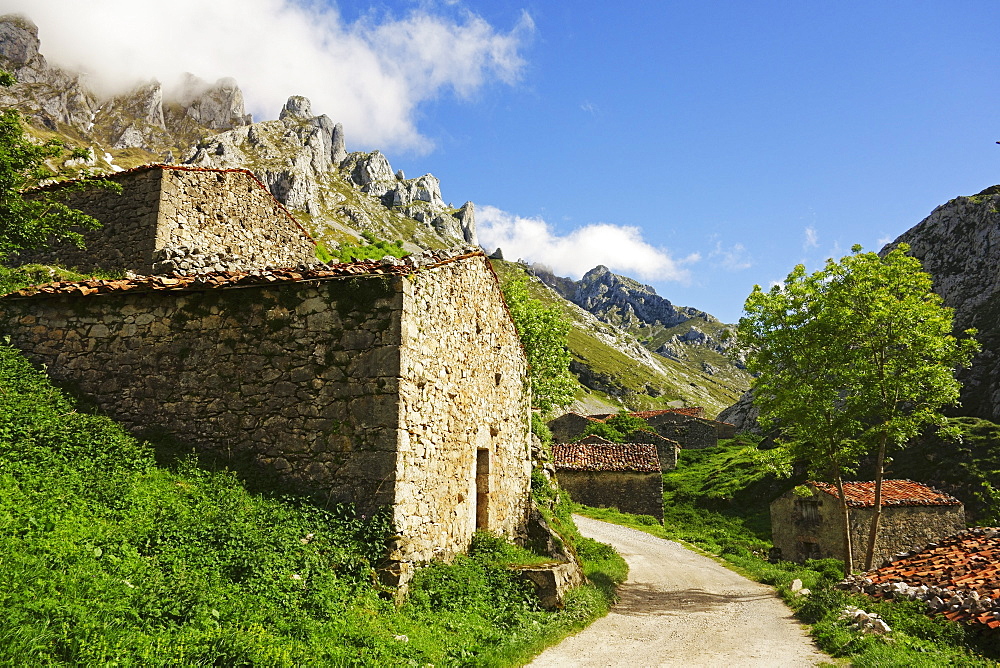 Old farmhouses near Sotres, Picos de Europa, Parque Nacional de los Picos de Europa, Asturias, Cantabria, Spain, Europe