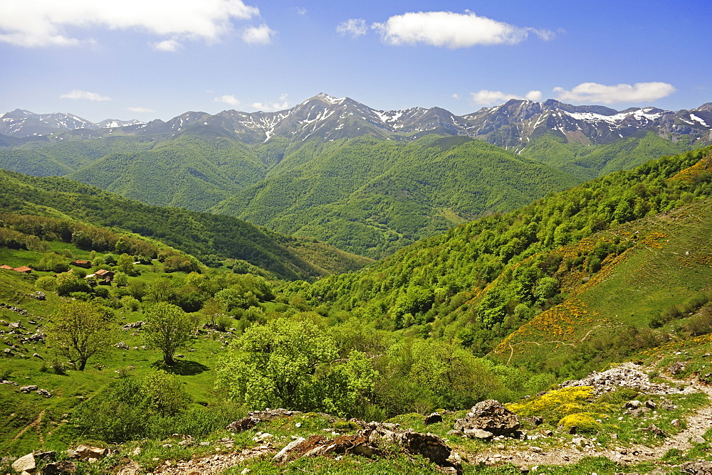 Fuente De, Picos de Europa, Parque Nacional de los Picos de Europa, Asturias, Cantabria, Spain, Europe