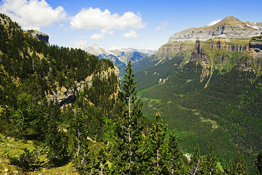 Valle de Ordesa, Parque Nacional de Ordesa, Central Pyrenees, Aragon, Spain, Europe