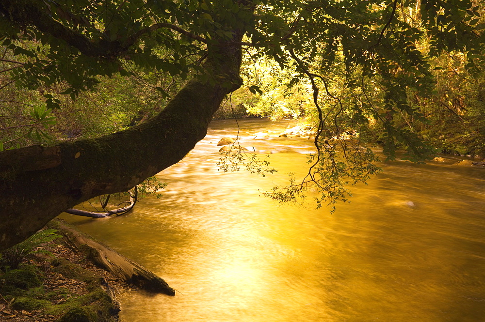 Franklin River, Franklin-Gordon Wild Rivers National Park, Tasmania, Australia, Pacific