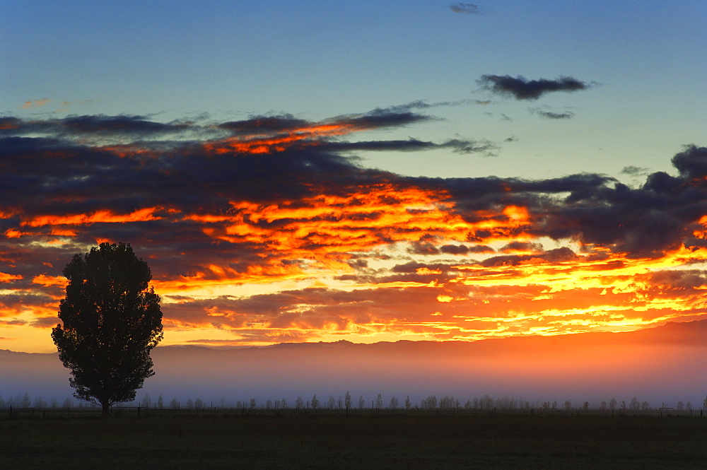 Sunrise, Alexandra, Central Otago, South Island, New Zealand, Pacific