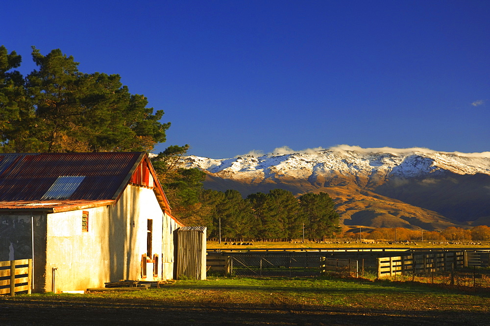 Farm and Dunstan Range, Central Otago, South Island, New Zealand, Pacific