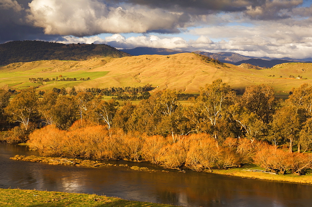 Murray River, near Towong, Victoria, Australia, Pacific