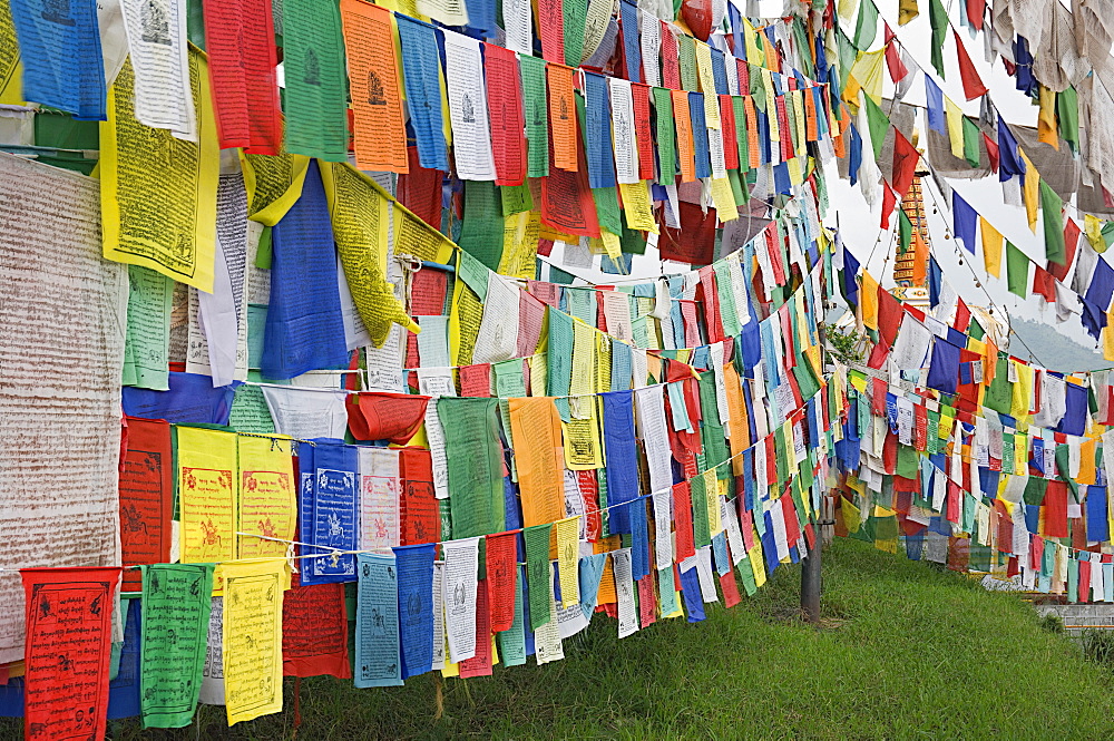 Buddhist prayer flags, McLeod Ganj, Dharamsala, Himachal Pradesh state, India, Asia