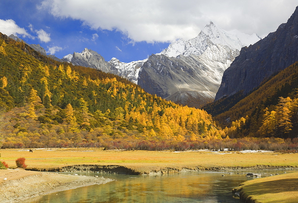 Xiaruoduojio mountain, Yading Nature Reserve, Sichuan Province, China, Asia