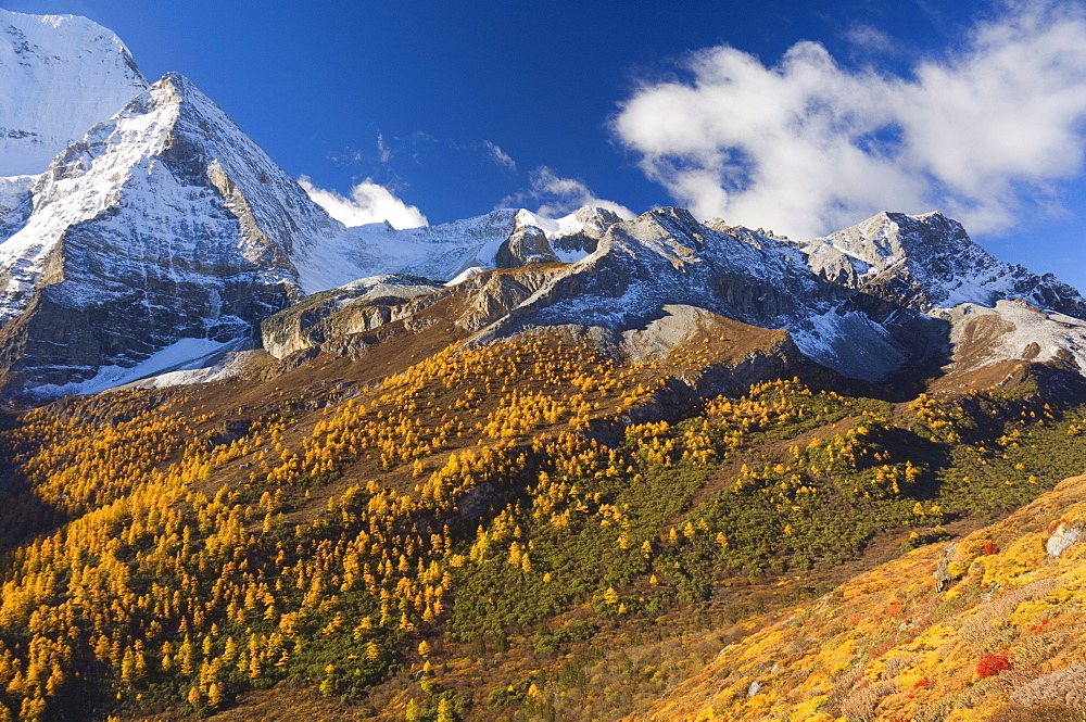 Xiannairi mountain, Yading Nature Reserve, Sichuan Province, China, Asia