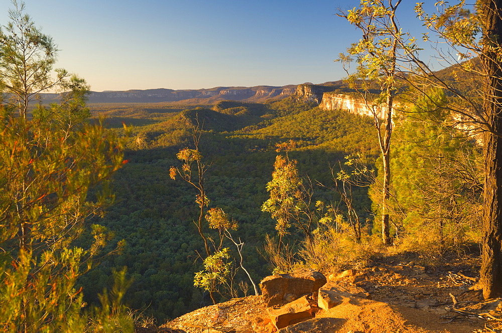 Carnarvon Gorge, Carnarvon National Park, Queensland, Australia, Pacific