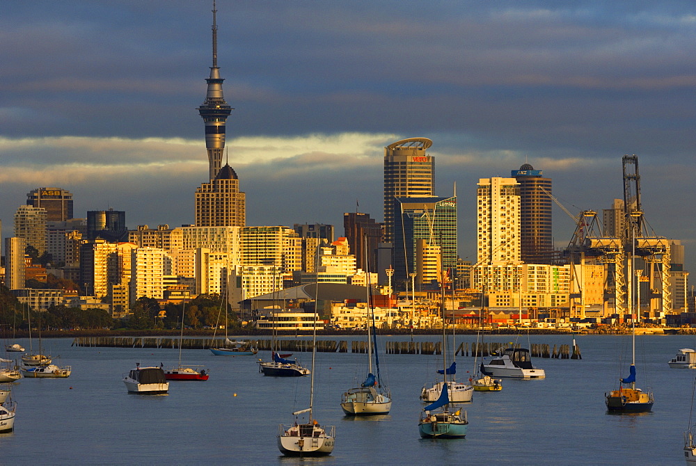 Okahu Bay boat harbour and skyline, Auckland, North Island, New Zealand, Pacific