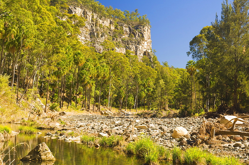 Carnarvon Creek, Carnarvon Gorge, Carnarvon National Park, Queensland, Australia, Pacific