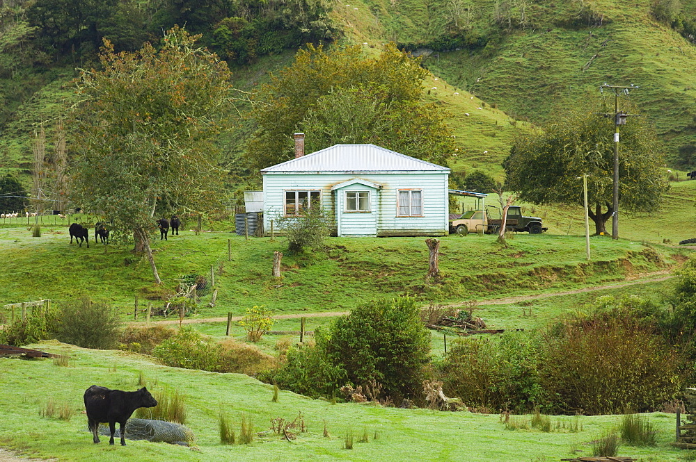 Mudstone Hill Farmland, King Country, North Island, New Zealand, Pacific