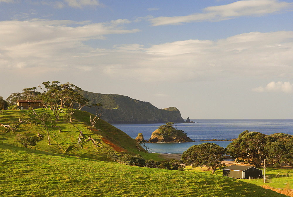 Coastline, Bay of Islands, North Island, New Zealand, Pacific