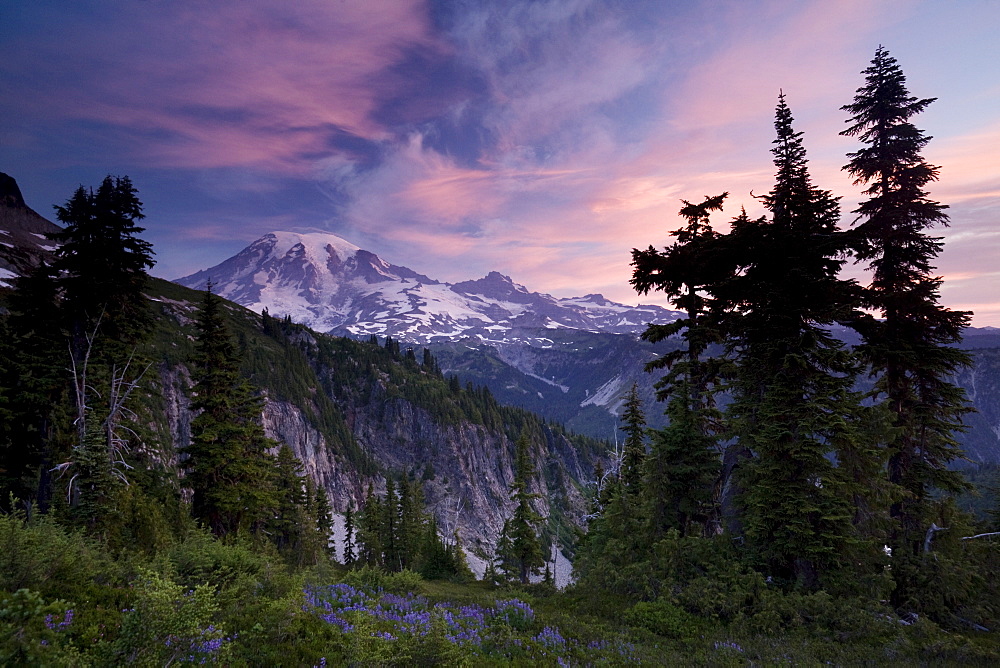 Landscape, Mount Rainier National Park, Washington State, United States of America, North America