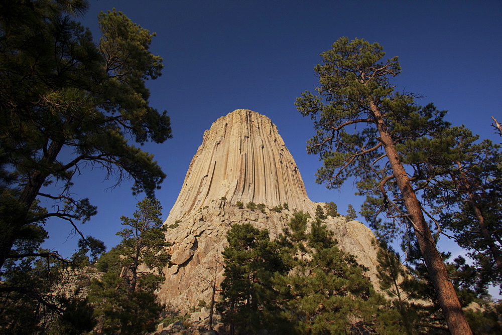 Devils Tower, Devils Tower National Monument, Wyoming, United States of America, North America